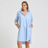 Shirty Winnie Classic Shirtdress