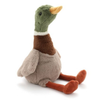 Hugo the Mallard Duck