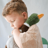 Hugo the Mallard Duck