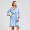 Shirty Winnie Classic Shirtdress