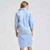 Shirty Winnie Classic Shirtdress